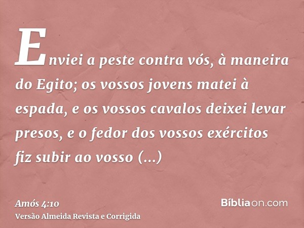 Enviei a peste contra vós, à maneira do Egito; os vossos jovens matei à espada, e os vossos cavalos deixei levar presos, e o fedor dos vossos exércitos fiz subi