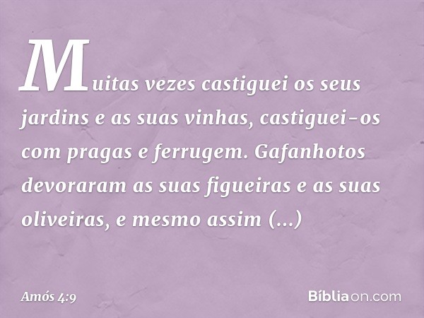 "Muitas vezes
castiguei os seus jardins e as suas vinhas,
castiguei-os com pragas e ferrugem.
Gafanhotos devoraram
as suas figueiras e as suas oliveiras,
e mesm