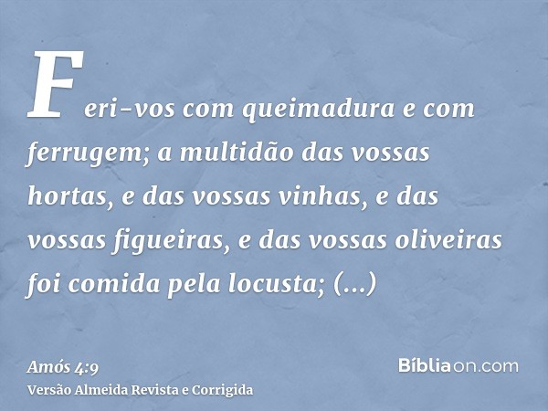 Feri-vos com queimadura e com ferrugem; a multidão das vossas hortas, e das vossas vinhas, e das vossas figueiras, e das vossas oliveiras foi comida pela locust