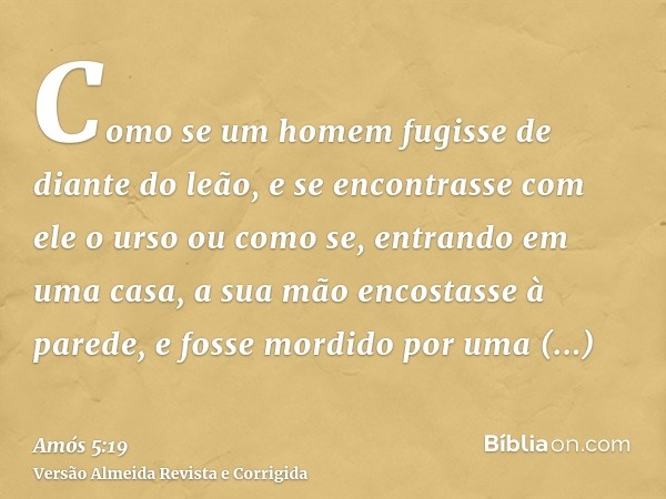 Como se um homem fugisse de diante do leão, e se encontrasse com ele o urso ou como se, entrando em uma casa, a sua mão encostasse à parede, e fosse mordido por