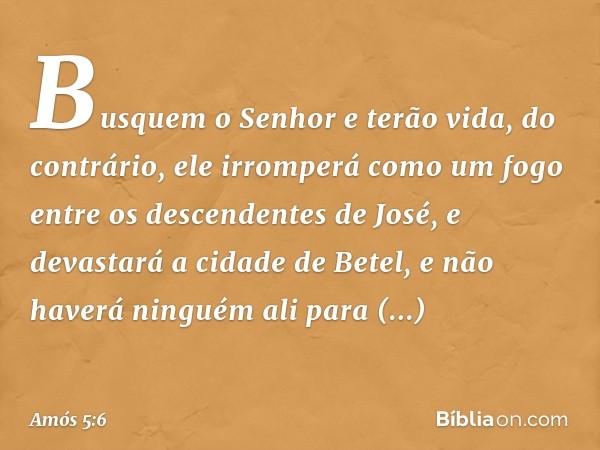 Busquem o Senhor e terão vida,
do contrário,
ele irromperá como um fogo
entre os descendentes de José,
e devastará a cidade de Betel,
e não haverá ninguém ali
p