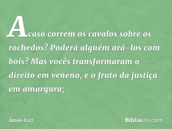 Acaso correm os cavalos
sobre os rochedos?
Poderá alguém ará-los com bois?
Mas vocês transformaram
o direito em veneno,
e o fruto da justiça em amargura; -- Amó