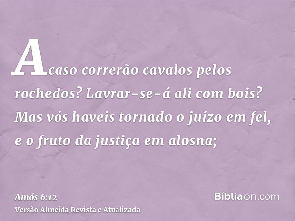 Acaso correrão cavalos pelos rochedos? Lavrar-se-á ali com bois? Mas vós haveis tornado o juízo em fel, e o fruto da justiça em alosna;