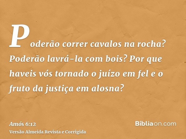Poderão correr cavalos na rocha? Poderão lavrá-la com bois? Por que haveis vós tornado o juízo em fel e o fruto da justiça em alosna?