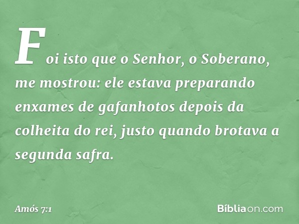 Foi isto que o Senhor, o Soberano, me mostrou: ele estava preparando enxames de gafanhotos depois da colheita do rei, justo quando brotava a segunda safra. -- A