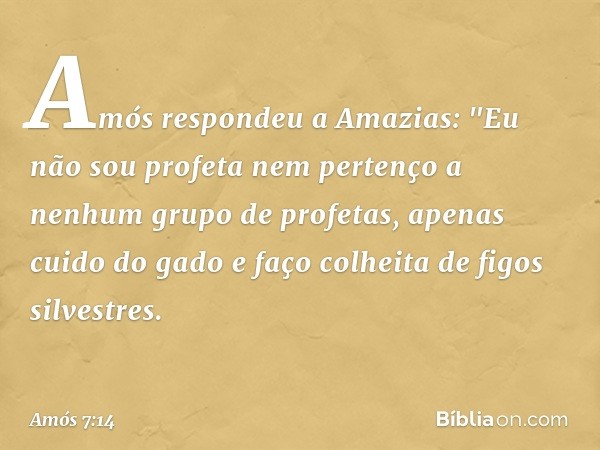 Amós respondeu a Amazias: "Eu não sou profeta nem pertenço a nenhum grupo de profetas, apenas cuido do gado e faço colheita de figos silvestres. -- Amós 7:14