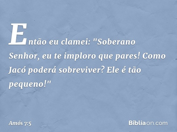 Então eu clamei: "Soberano Senhor, eu te imploro que pares! Como Jacó poderá sobreviver? Ele é tão pequeno!" -- Amós 7:5