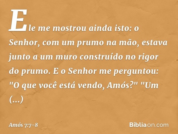 Ele me mostrou ainda isto: o Senhor, com um prumo na mão, estava junto a um muro construído no rigor do prumo. E o Senhor me perguntou: "O que você está vendo,