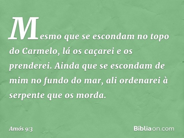 Mesmo que se escondam
no topo do Carmelo,
lá os caçarei e os prenderei.
Ainda que se escondam de mim
no fundo do mar,
ali ordenarei à serpente que os morda. -- 