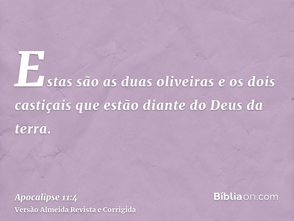 Estas são as duas oliveiras e os dois castiçais que estão diante do Deus da terra.
