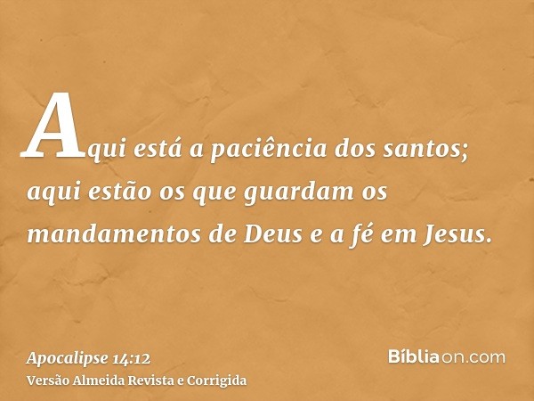 Aqui está a paciência dos santos; aqui estão os que guardam os mandamentos de Deus e a fé em Jesus.