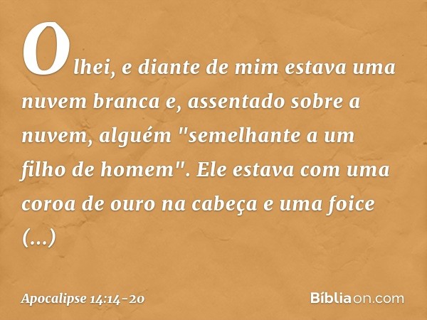 Olhei, e diante de mim estava uma nuvem branca e, assentado sobre a nuvem, alguém "semelhante a um filho de homem". Ele estava com uma coroa de ouro na cabeça e