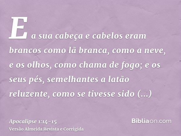 E a sua cabeça e cabelos eram brancos como lã branca, como a neve, e os olhos, como chama de fogo;e os seus pés, semelhantes a latão reluzente, como se tivesse 