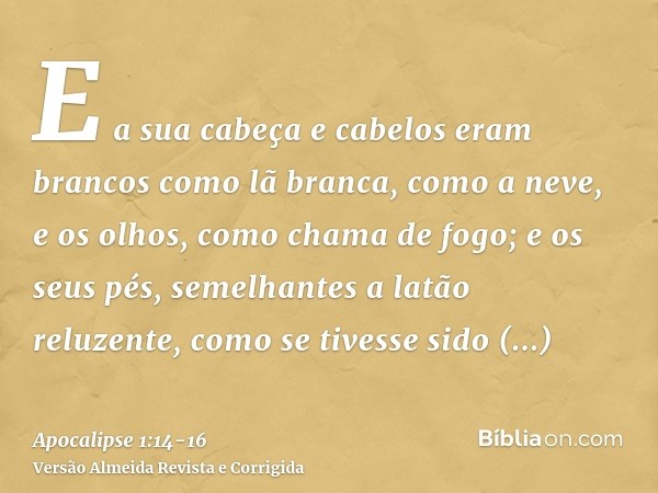 E a sua cabeça e cabelos eram brancos como lã branca, como a neve, e os olhos, como chama de fogo;e os seus pés, semelhantes a latão reluzente, como se tivesse 