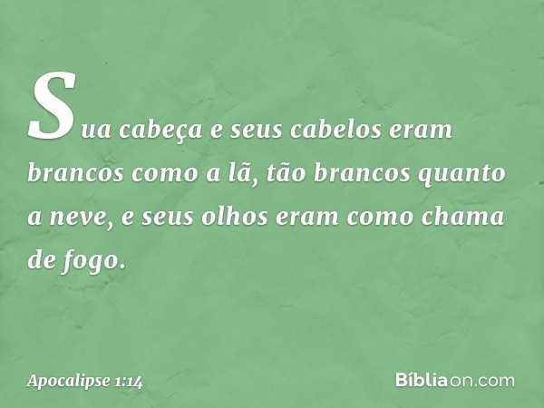 Sua cabeça e seus cabelos eram brancos como a lã, tão brancos quanto a neve, e seus olhos eram como chama de fogo. -- Apocalipse 1:14