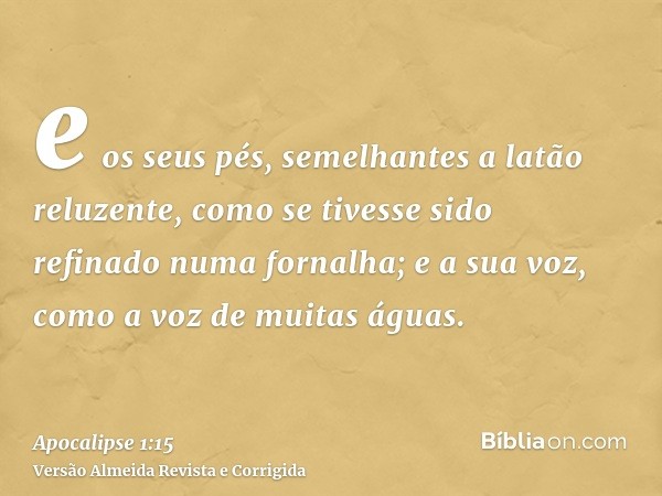 e os seus pés, semelhantes a latão reluzente, como se tivesse sido refinado numa fornalha; e a sua voz, como a voz de muitas águas.