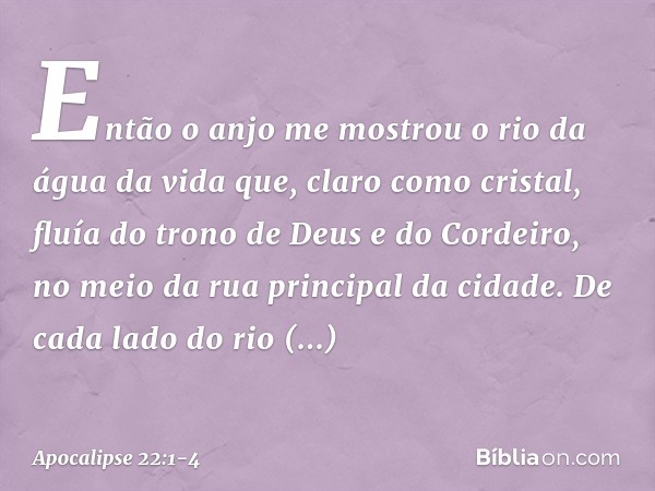 Então o anjo me mostrou o rio da água da vida que, claro como cristal, fluía do trono de Deus e do Cordeiro, no meio da rua principal da cidade. De cada lado do