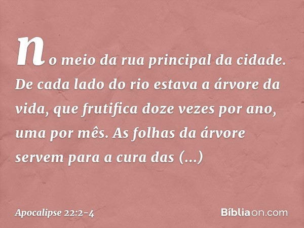 no meio da rua principal da cidade. De cada lado do rio estava a árvore da vida, que frutifica doze vezes por ano, uma por mês. As folhas da árvore servem para 