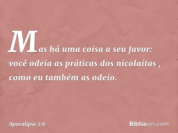 Mas há uma coisa a seu favor: você odeia as práticas dos nicolaítas , como eu também as odeio. -- Apocalipse 2:6