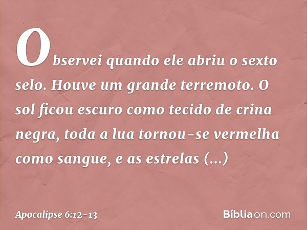 Observei quando ele abriu o sexto selo. Houve um grande terremoto. O sol ficou escuro como tecido de crina negra, toda a lua tornou-se vermelha como sangue, e a