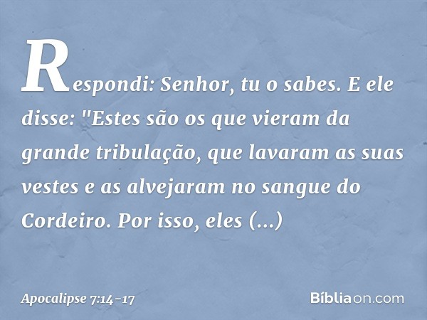 Respondi: Senhor, tu o sabes.
E ele disse: "Estes são os que vieram da grande tribulação, que lavaram as suas vestes e as alvejaram no sangue do Cordeiro. Por i