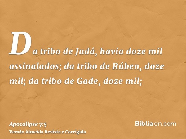 Da tribo de Judá, havia doze mil assinalados; da tribo de Rúben, doze mil; da tribo de Gade, doze mil;