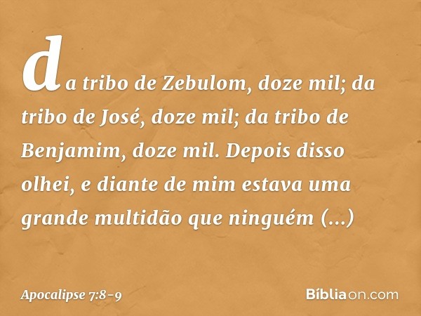 da tribo de Zebulom, doze mil;
da tribo de José, doze mil;
da tribo de Benjamim, doze mil. Depois disso olhei, e diante de mim estava uma grande multidão que ni