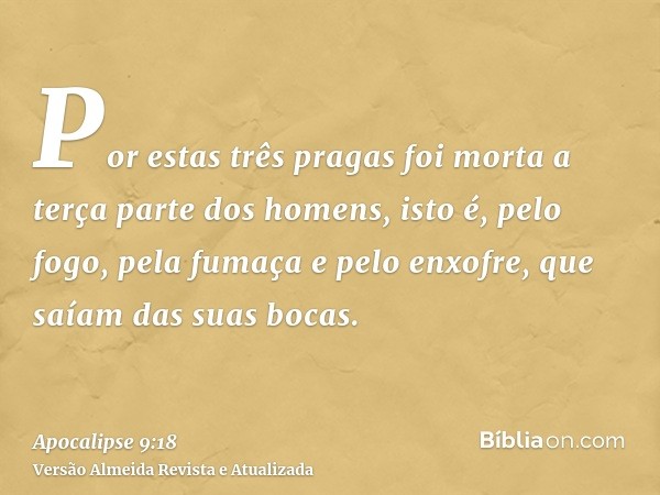 Por estas três pragas foi morta a terça parte dos homens, isto é, pelo fogo, pela fumaça e pelo enxofre, que saíam das suas bocas.