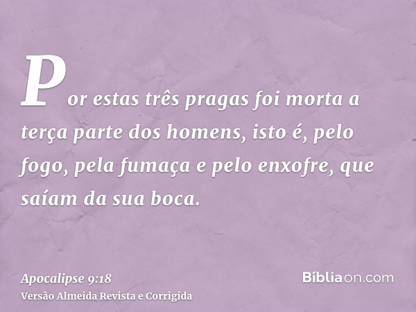 Por estas três pragas foi morta a terça parte dos homens, isto é, pelo fogo, pela fumaça e pelo enxofre, que saíam da sua boca.