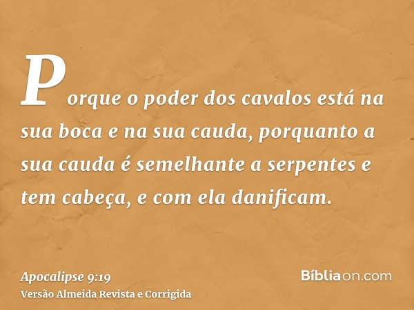 Porque o poder dos cavalos está na sua boca e na sua cauda, porquanto a sua cauda é semelhante a serpentes e tem cabeça, e com ela danificam.