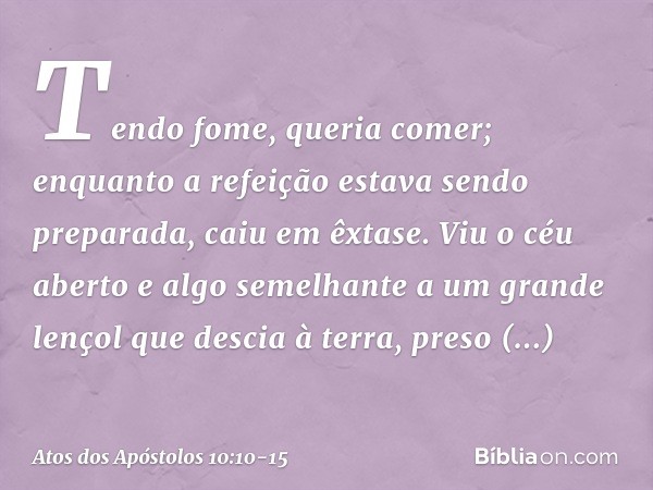 Tendo fome, queria comer; enquanto a refeição estava sendo preparada, caiu em êxtase. Viu o céu aberto e algo semelhante a um grande lençol que descia à terra, 