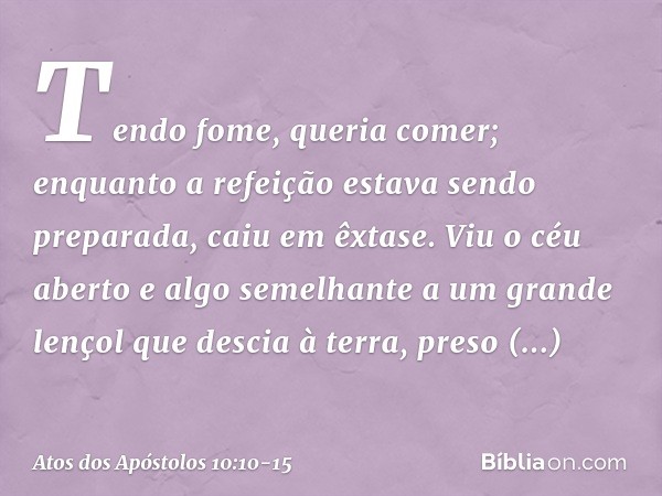 Tendo fome, queria comer; enquanto a refeição estava sendo preparada, caiu em êxtase. Viu o céu aberto e algo semelhante a um grande lençol que descia à terra,