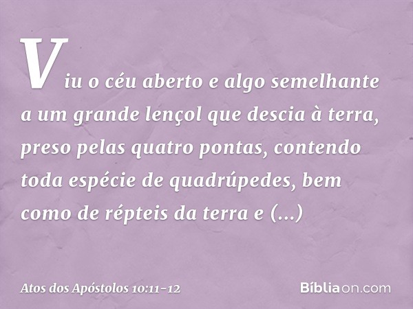 Viu o céu aberto e algo semelhante a um grande lençol que descia à terra, preso pelas quatro pontas, contendo toda espécie de quadrúpedes, bem como de répteis d