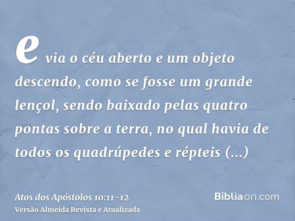 e via o céu aberto e um objeto descendo, como se fosse um grande lençol, sendo baixado pelas quatro pontas sobre a terra,no qual havia de todos os quadrúpedes e