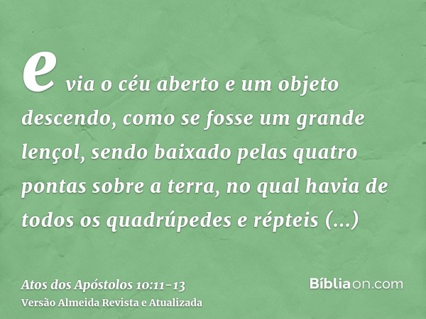 e via o céu aberto e um objeto descendo, como se fosse um grande lençol, sendo baixado pelas quatro pontas sobre a terra,no qual havia de todos os quadrúpedes e