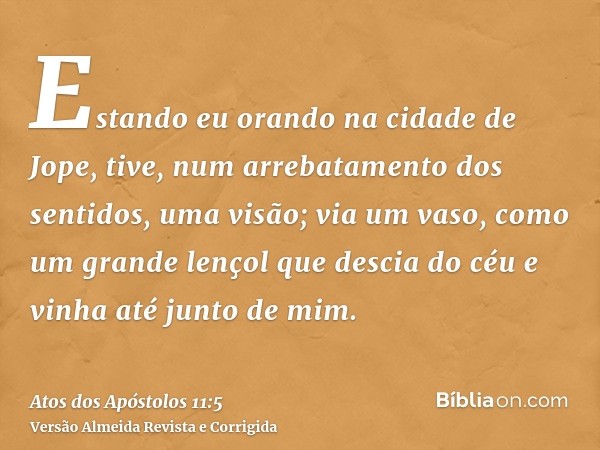 Estando eu orando na cidade de Jope, tive, num arrebatamento dos sentidos, uma visão; via um vaso, como um grande lençol que descia do céu e vinha até junto de 