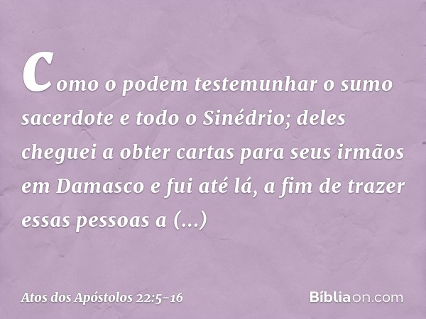 como o podem testemunhar o sumo sacerdote e todo o Sinédrio; deles cheguei a obter cartas para seus irmãos em Damasco e fui até lá, a fim de trazer essas pessoa