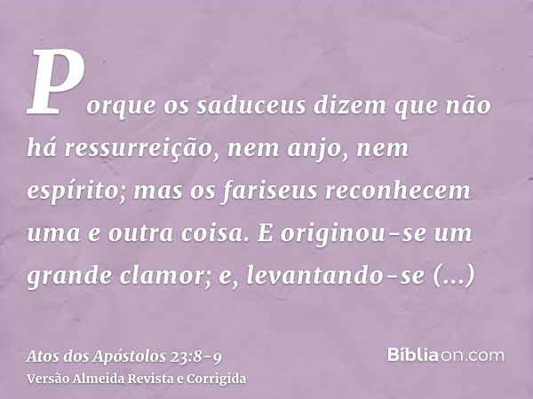 Porque os saduceus dizem que não há ressurreição, nem anjo, nem espírito; mas os fariseus reconhecem uma e outra coisa.E originou-se um grande clamor; e, levant