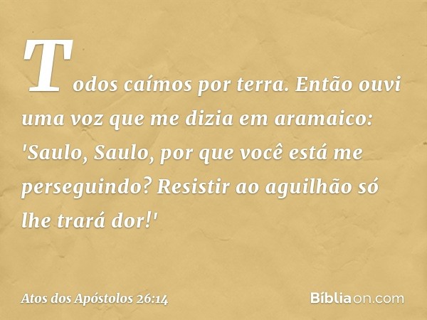 Todos caímos por terra. Então ouvi uma voz que me dizia em aramaico: 'Saulo, Saulo, por que você está me perseguindo? Resistir ao aguilhão só lhe trará dor!' --