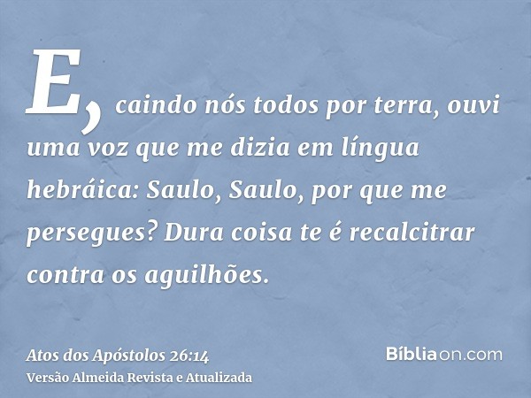 E, caindo nós todos por terra, ouvi uma voz que me dizia em língua hebráica: Saulo, Saulo, por que me persegues? Dura coisa te é recalcitrar contra os aguilhões