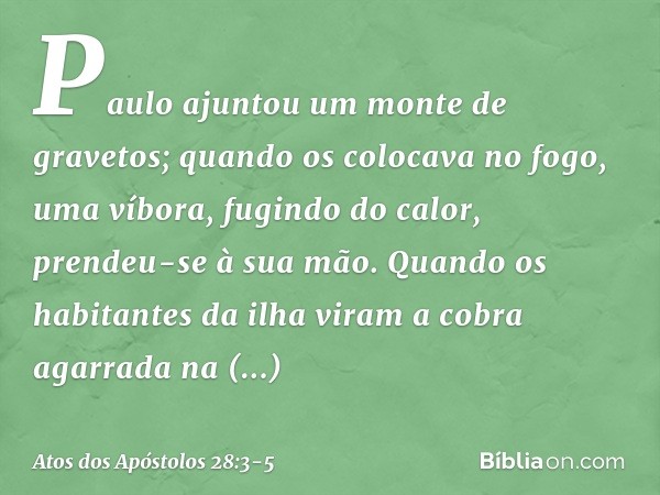 Paulo ajuntou um monte de gravetos; quando os colocava no fogo, uma víbora, fugindo do calor, prendeu-se à sua mão. Quando os habitantes da ilha viram a cobra a