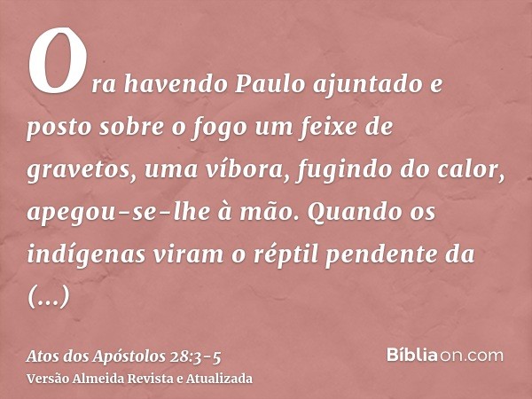 Ora havendo Paulo ajuntado e posto sobre o fogo um feixe de gravetos, uma víbora, fugindo do calor, apegou-se-lhe à mão.Quando os indígenas viram o réptil pende