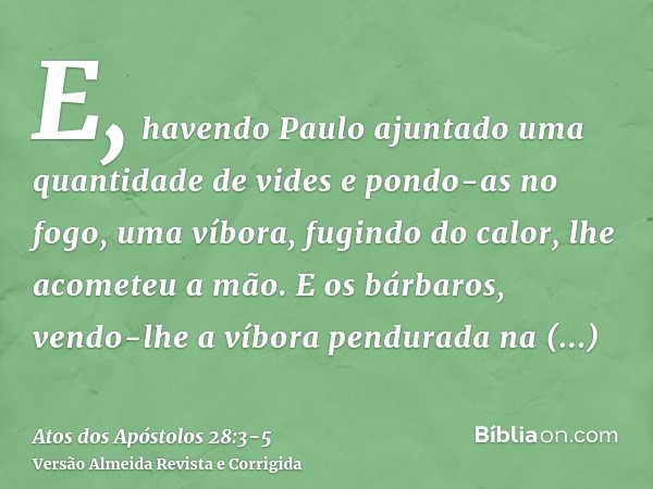 E, havendo Paulo ajuntado uma quantidade de vides e pondo-as no fogo, uma víbora, fugindo do calor, lhe acometeu a mão.E os bárbaros, vendo-lhe a víbora pendura