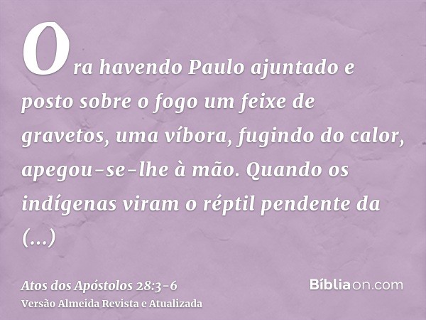 Ora havendo Paulo ajuntado e posto sobre o fogo um feixe de gravetos, uma víbora, fugindo do calor, apegou-se-lhe à mão.Quando os indígenas viram o réptil pende