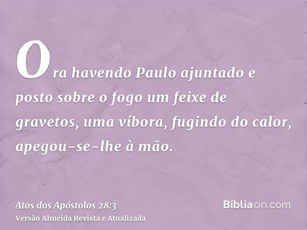 Ora havendo Paulo ajuntado e posto sobre o fogo um feixe de gravetos, uma víbora, fugindo do calor, apegou-se-lhe à mão.