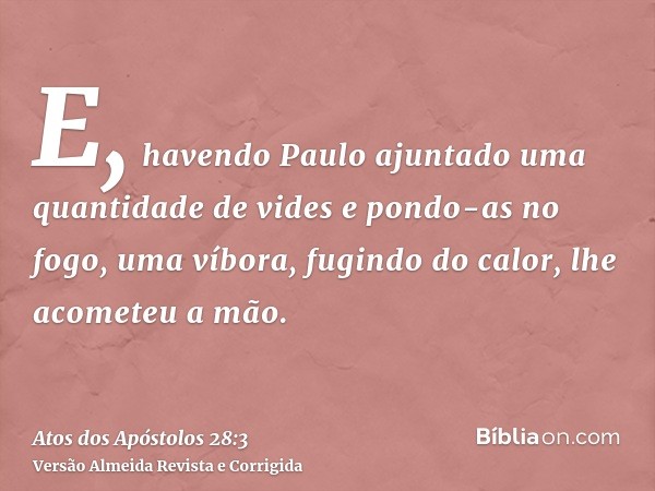 E, havendo Paulo ajuntado uma quantidade de vides e pondo-as no fogo, uma víbora, fugindo do calor, lhe acometeu a mão.