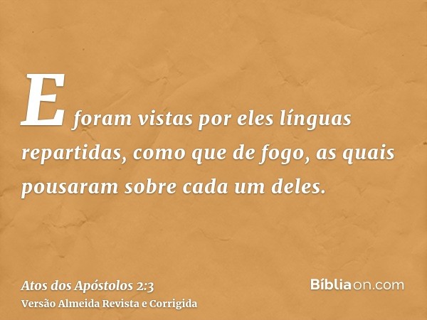 E foram vistas por eles línguas repartidas, como que de fogo, as quais pousaram sobre cada um deles.