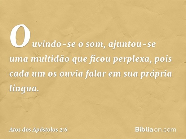 Ouvindo-se o som, ajuntou-se uma multidão que ficou perplexa, pois cada um os ouvia falar em sua própria língua. -- Atos dos Apóstolos 2:6