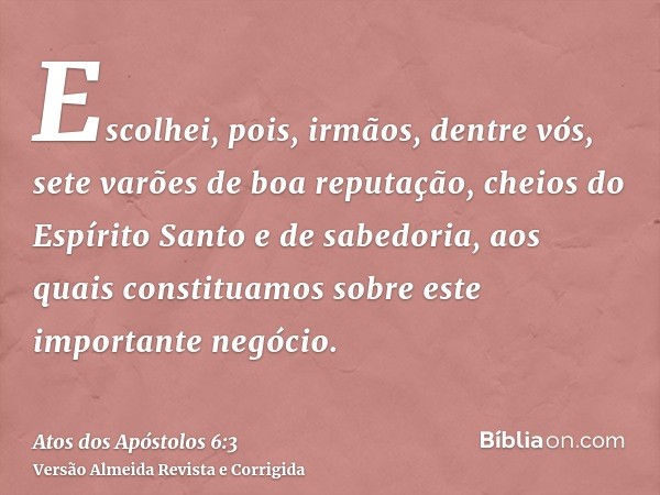 Escolhei, pois, irmãos, dentre vós, sete varões de boa reputação, cheios do Espírito Santo e de sabedoria, aos quais constituamos sobre este importante negócio.