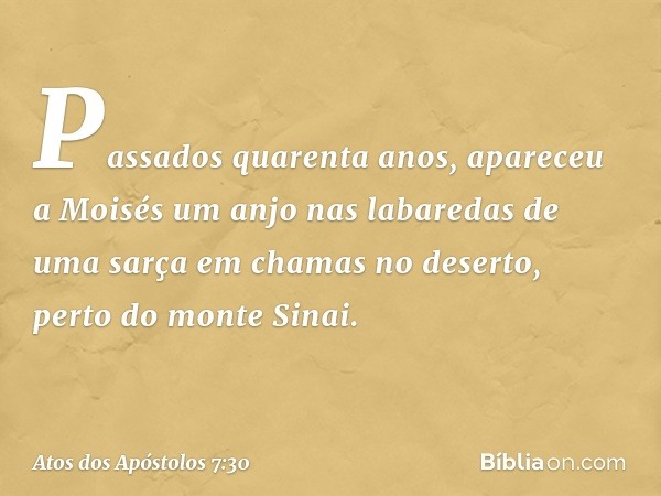 "Passados quarenta anos, apareceu a Moisés um anjo nas labaredas de uma sarça em chamas no deserto, perto do monte Sinai. -- Atos dos Apóstolos 7:30